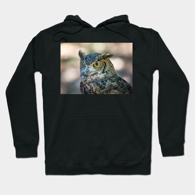 Owl Portrait, Grants Pass, Oregon, 2016 Hoodie by JeffreySchwartz